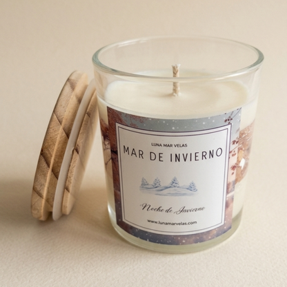 Mar de invierno - noche de invierno